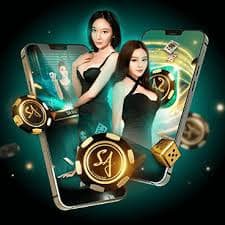 8855bet10