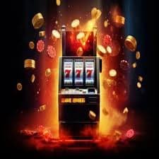 8855bet10